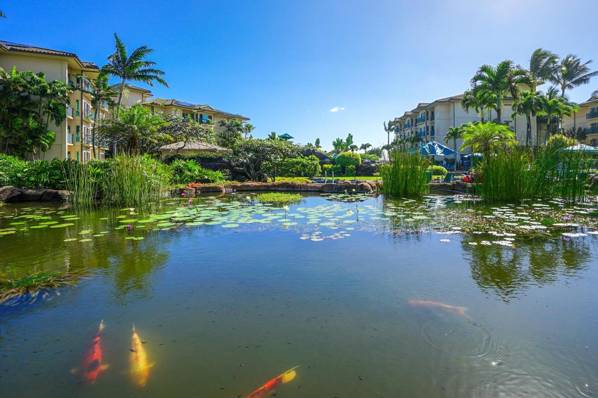 Waipouli Beach Resort Kapa'a Phòng bức ảnh